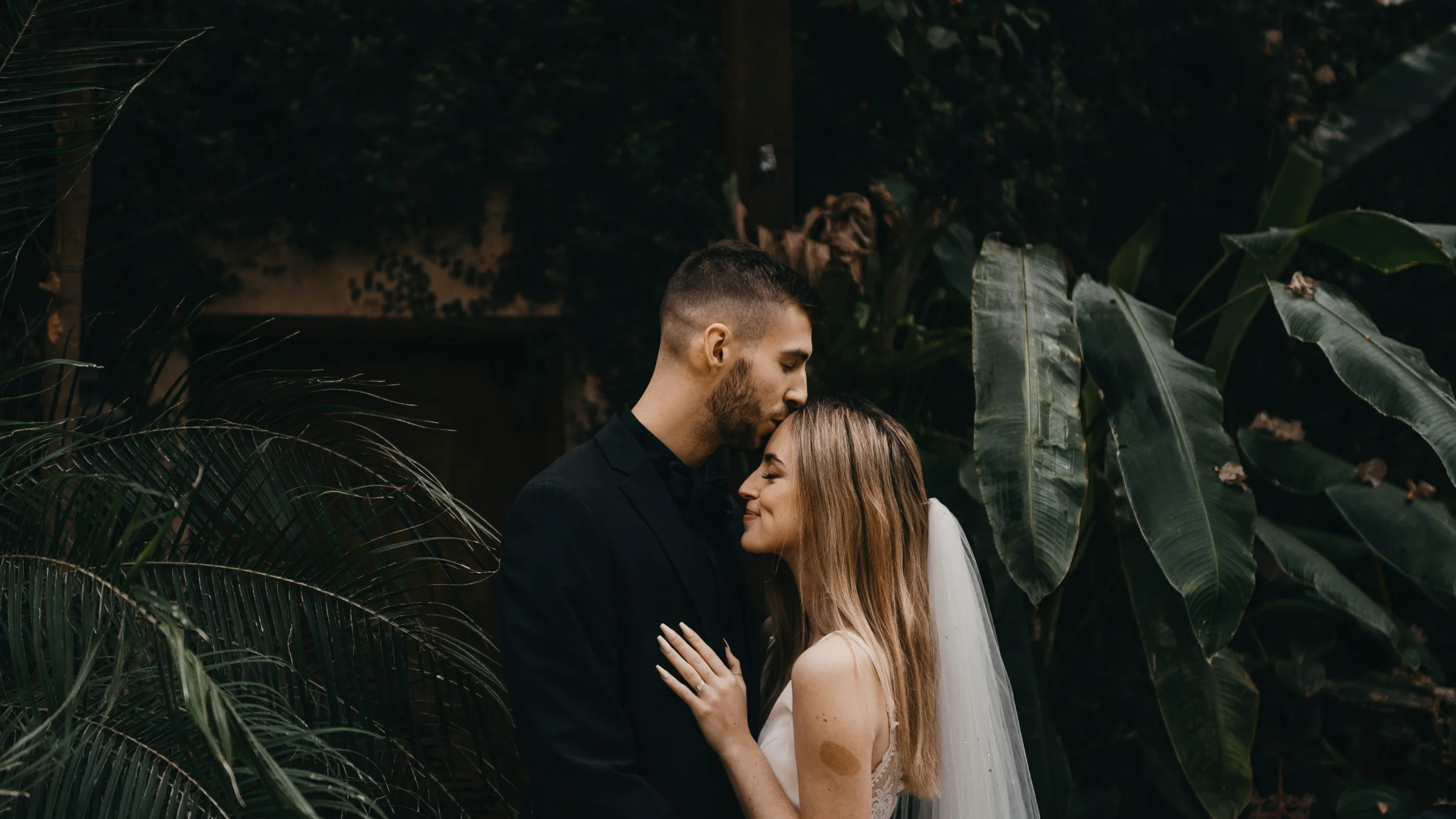Couple dancing under the palm trees